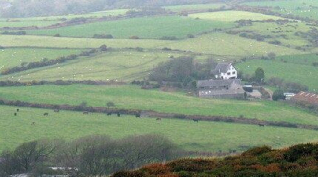 Coch y Moel Farm from the top of the ffridd The field behind the farmhouse was the site of the medieval Ty Fair (Mary's House)a pilgrims' hospice.