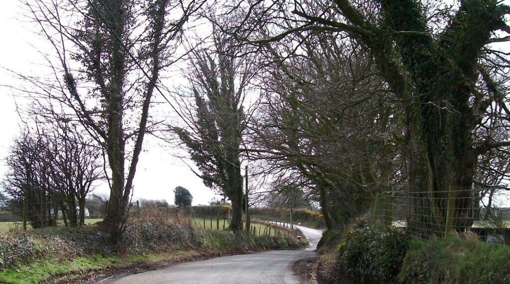 Road bends near Fferm Glyncoed Farm Glyncoed means "wooded valley".