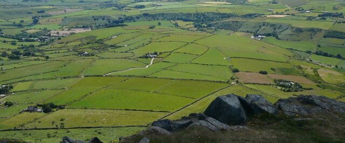 Field scape below Carn Fadryn