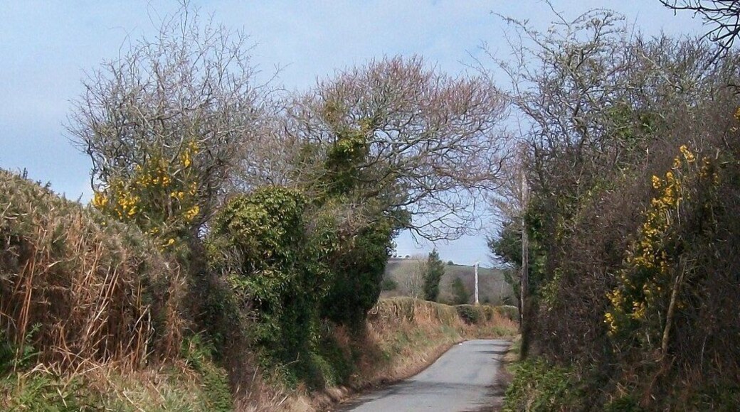 Between the hedgerows - the Llangybi road