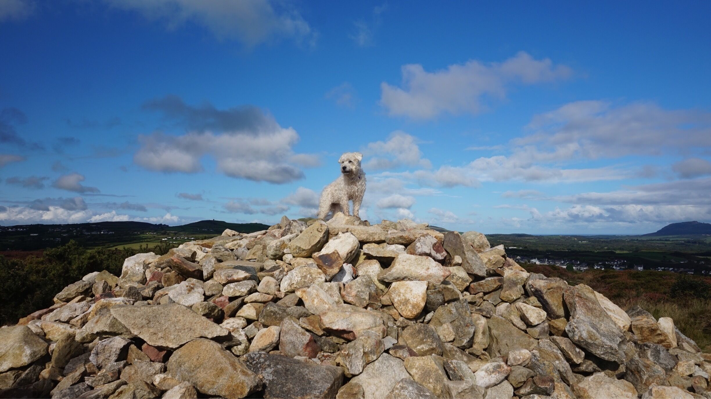Queen 👑 of all she can see on a cairn on the Wales Coastal path 