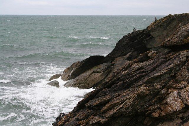 Rough seas; rough rocks Cormorants on the small piece of rocky coast that just makes it into this square.