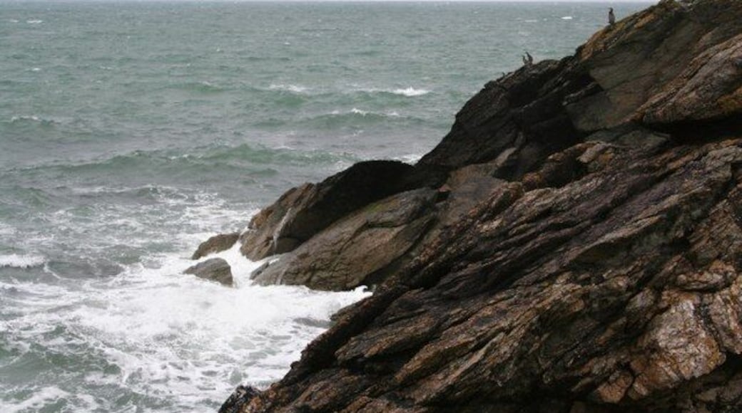 Rough seas; rough rocks Cormorants on the small piece of rocky coast that just makes it into this square.