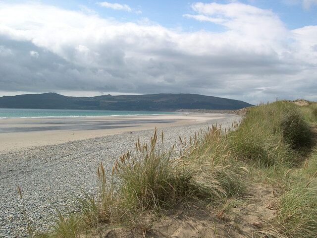 A beach with pebbles, grass, and a distant mountain range.