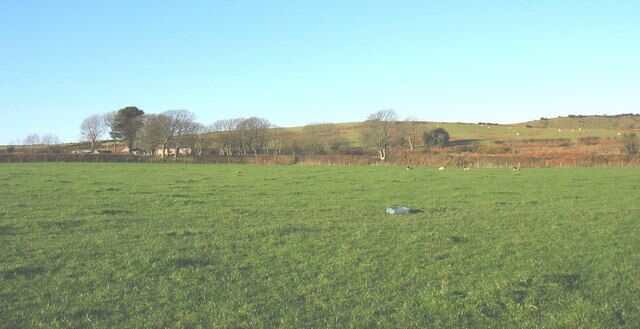 View across improved pasture towards Tan-y-bryn Farm Tan-y-bryn (=below the hill) lies in a hollow beneath a ridge of low hills.