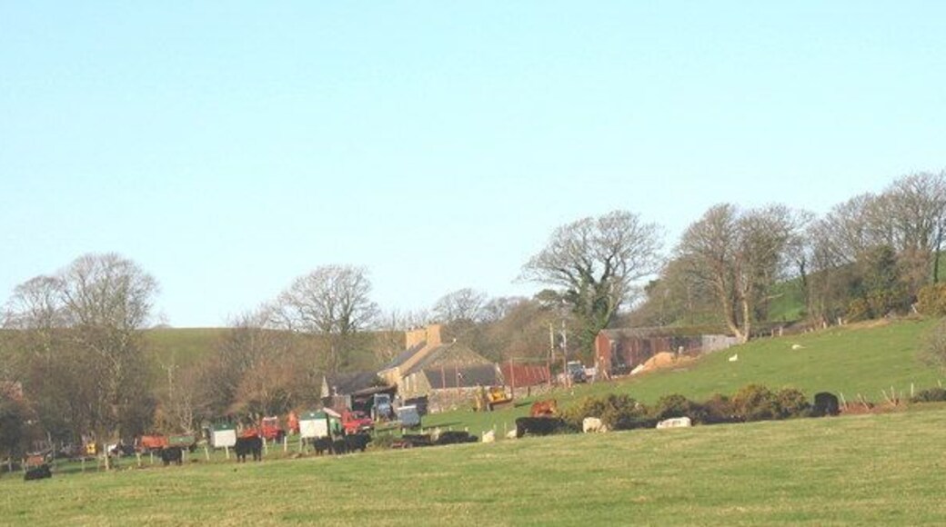 Rhyllech Uchaf Farm from the Gellidara road Rhyllech Uchaf is a livestock farm.
