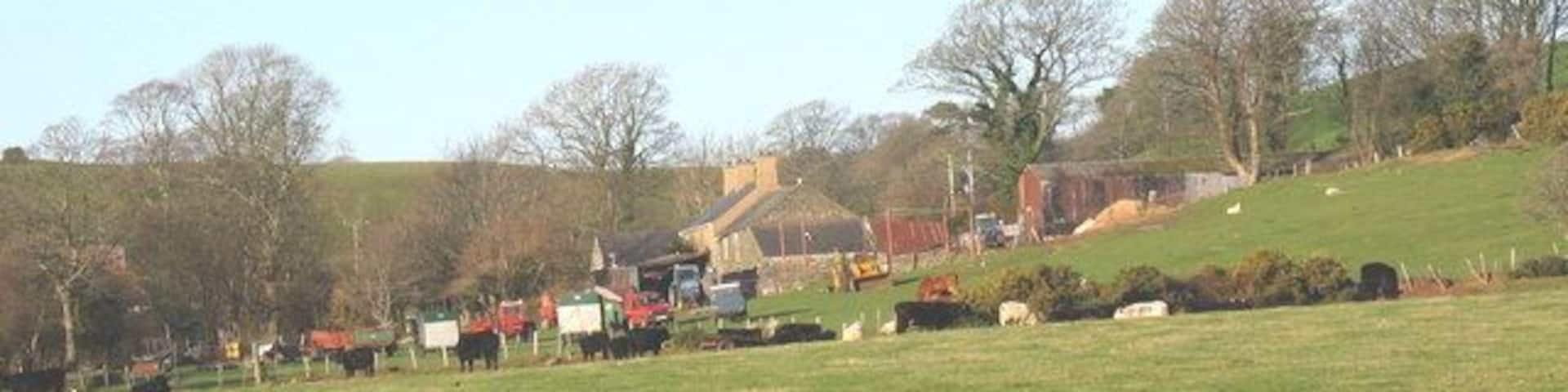 Rhyllech Uchaf Farm from the Gellidara road Rhyllech Uchaf is a livestock farm.