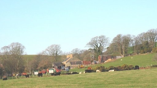 Rhyllech Uchaf Farm from the Gellidara road Rhyllech Uchaf is a livestock farm.