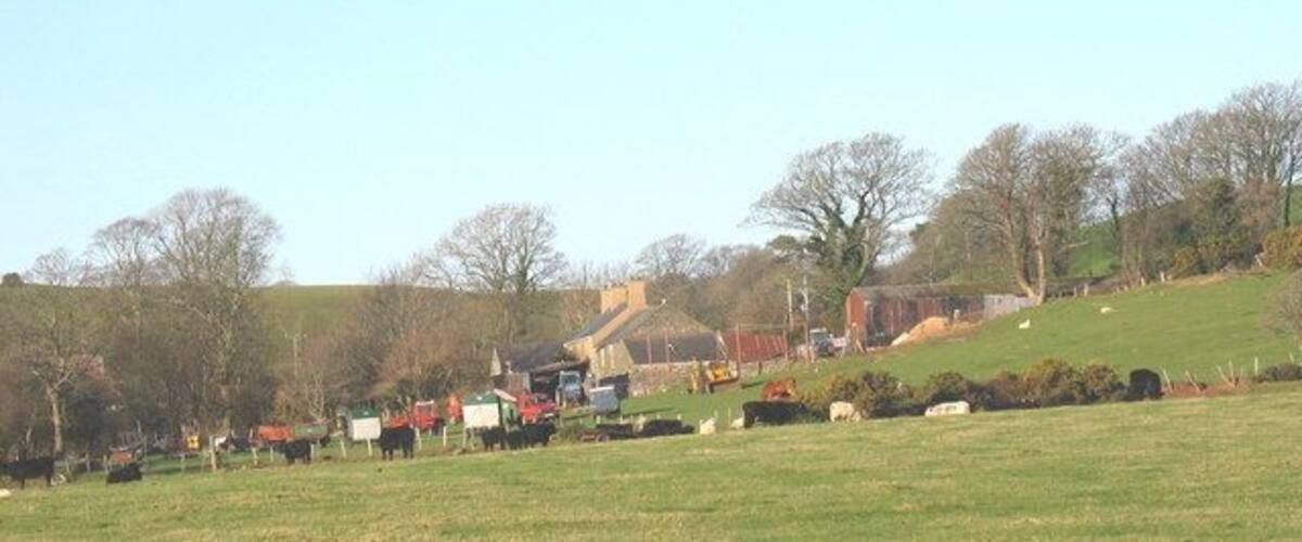 A rural landscape with a green field, sheep, and farm buildings.