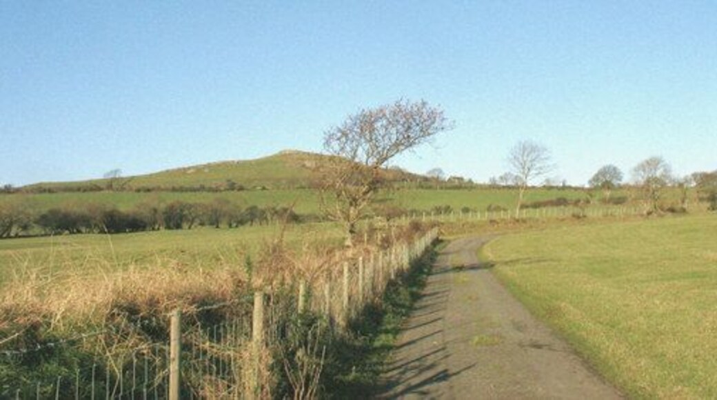 Partly unfenced section of the Gwnhinger road