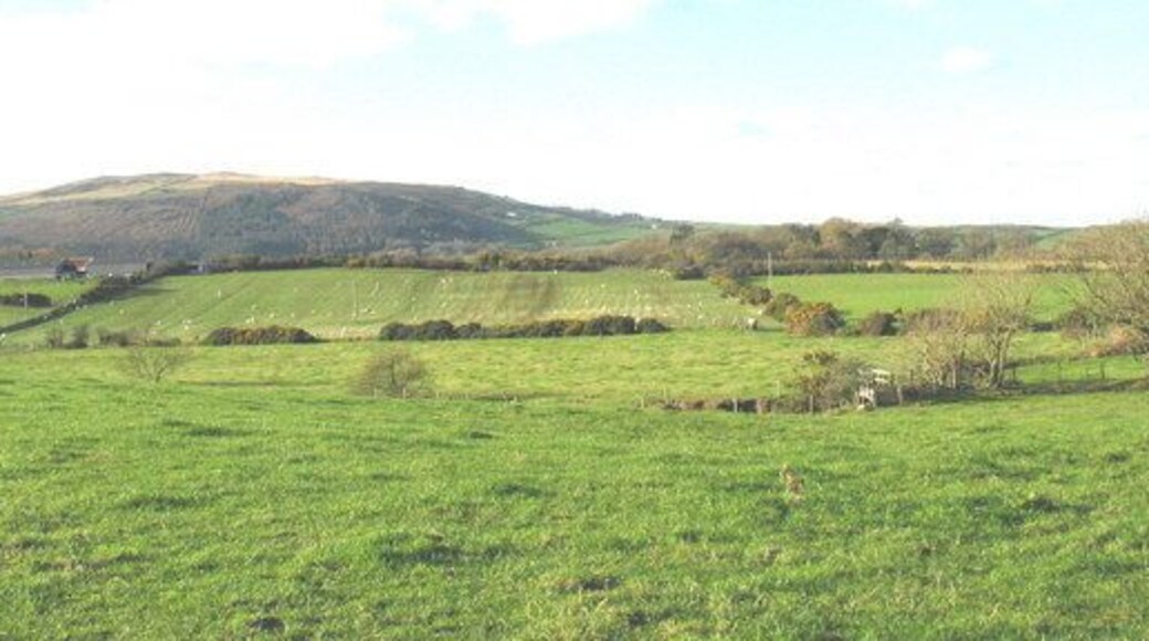 The path from Llandygwnning Church to the haunted Gelliwig manor house The path crosses over the Afon Soch by means of new footbridge and follows the hedge up to the drive of Gelliwig. Gelliwig manor lies within the grove of trees. In fact its name means "a grove of trees".