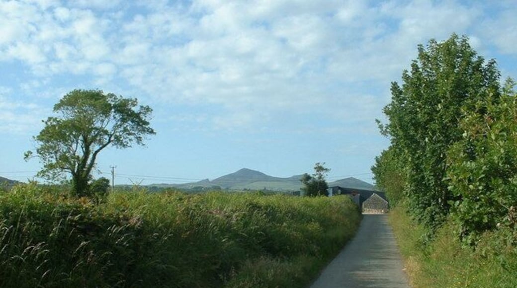 Lane near Efailnewydd. Looking north, towards Yr Eifl.