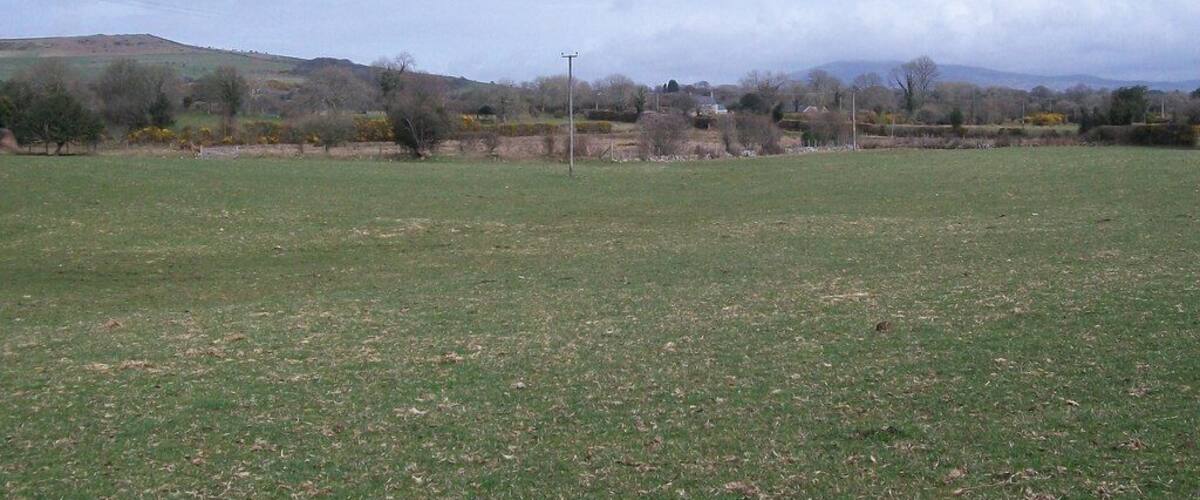 A grassy field with a few trees and a hill in the background.