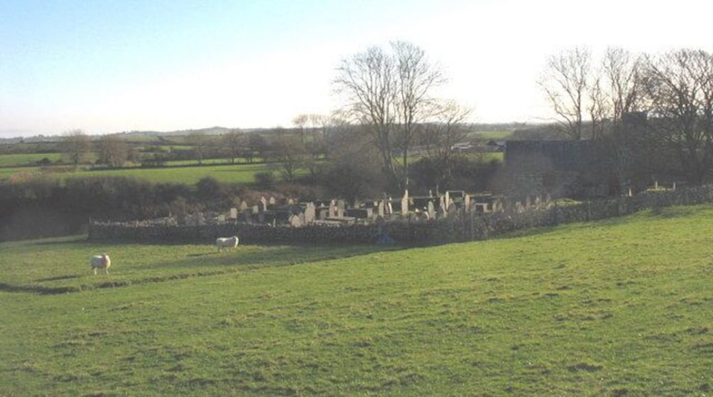 Sheep next to the Carnguwch Church cemetery