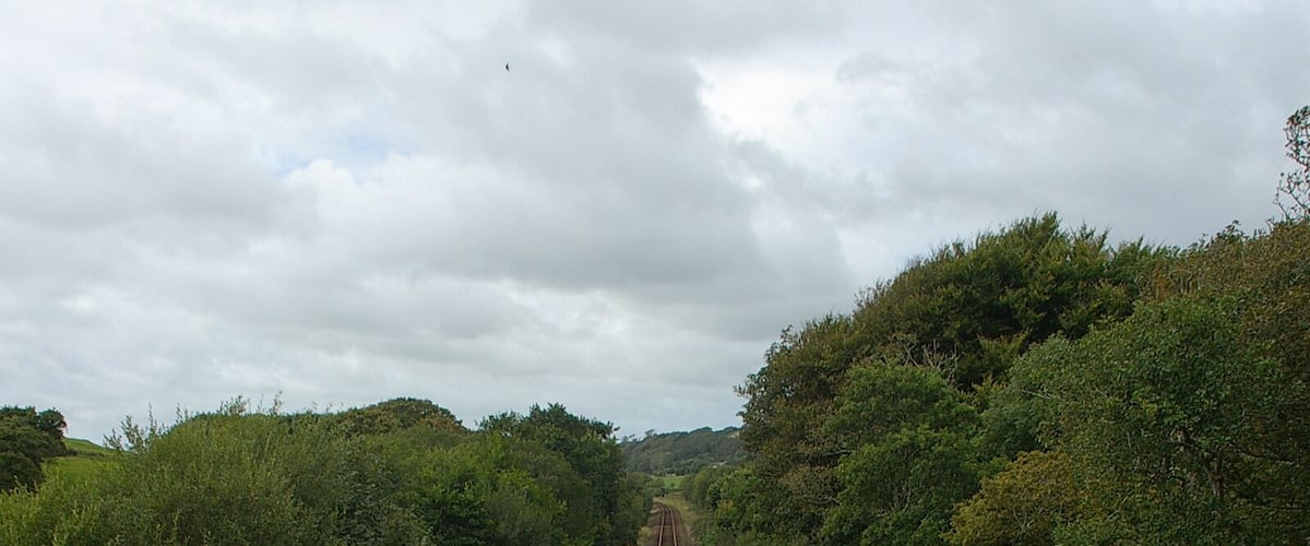 A railway track with a 'Stop' sign and a 'Clearway' sign.