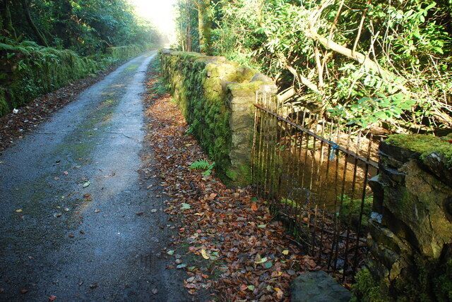 Coed Plas Boduan Woods The lane running alongside the wall of the Plas Boduan estate.