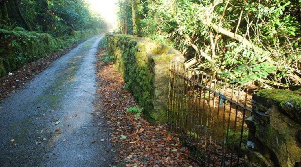 Coed Plas Boduan Woods The lane running alongside the wall of the Plas Boduan estate.