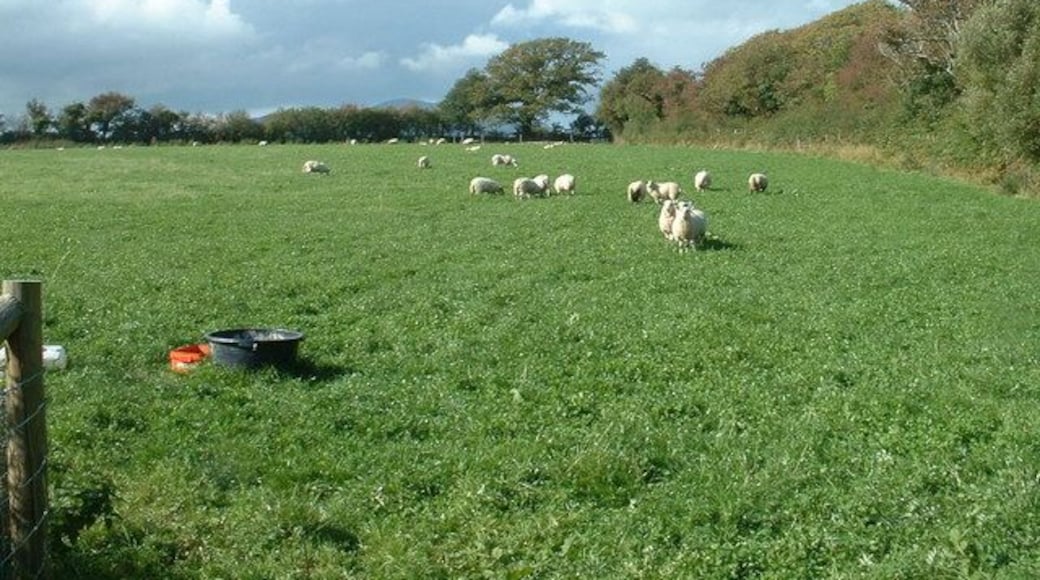 Farmland near Chwilog. Looking north west. The road to Llanarmon is behind the hedge on the right.