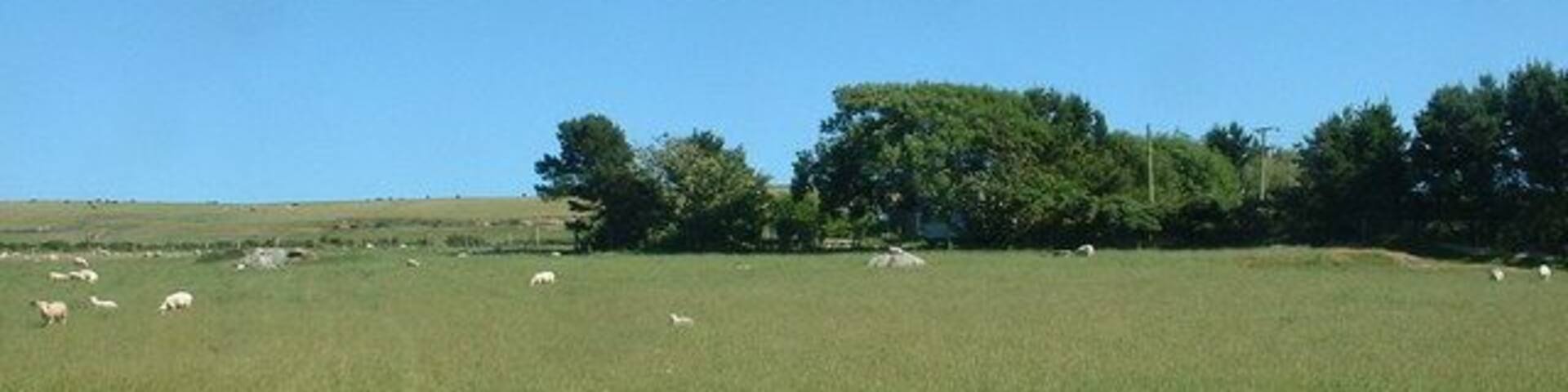 Farmland near Fachwen. Looking north.