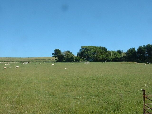 A grassy field with sheep and trees in the background.
