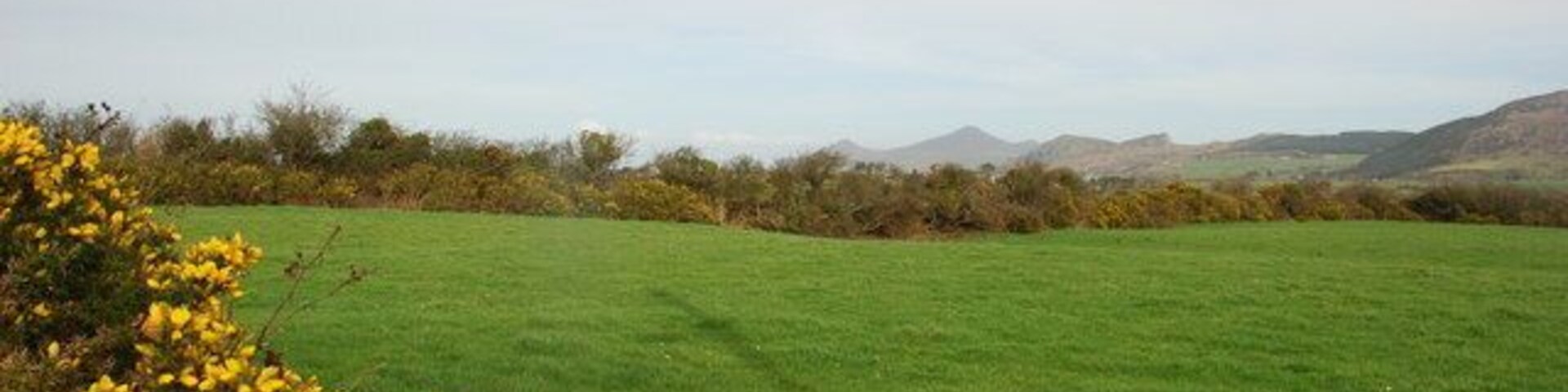 Um campo verde com flores amarelas no primeiro plano e uma paisagem acidentada ao fundo.
