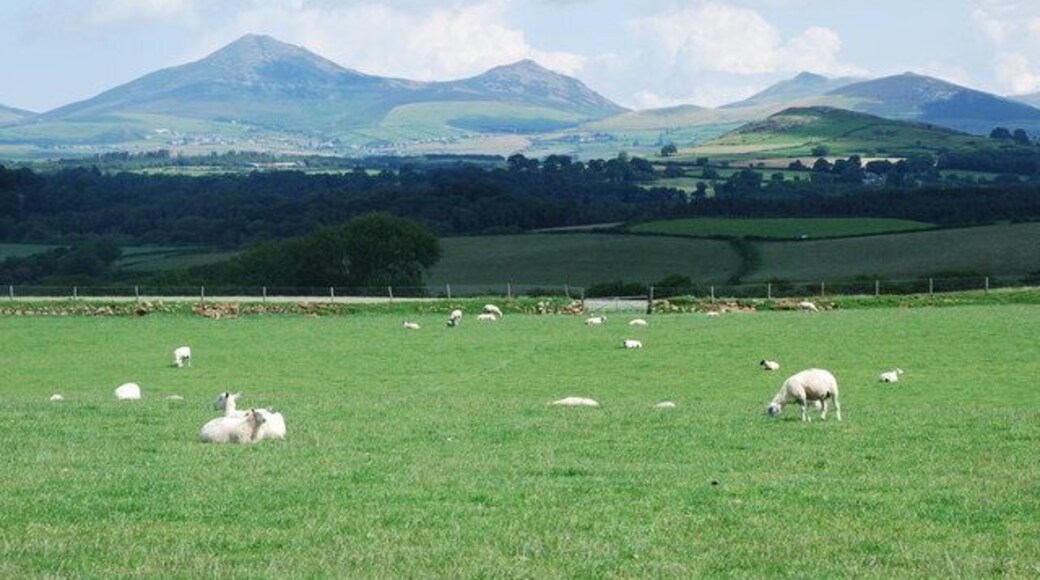 Tir amaethyddol Bodgadle Farmland In the distance are Yr Eifl, Tre'r Ceiri and Mynydd Carnguwch