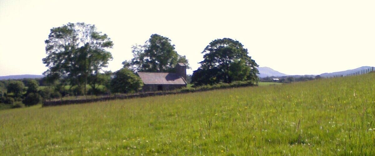 A grassy field with a barn and trees in the background.