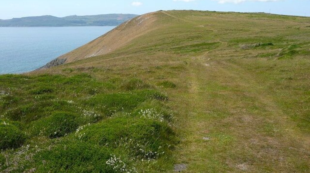 Coastal downland near Trwyn Cilan