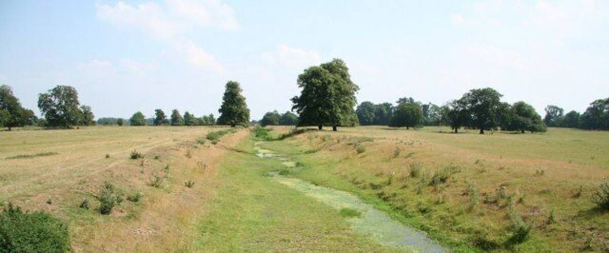 A grassy field with a narrow stream running through it.