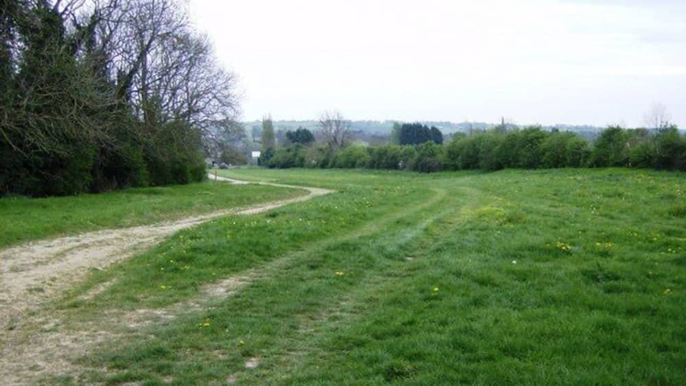 Uma trilha rural serpenteia por um campo gramado, com árvores e arbustos ao longo de um lado.
