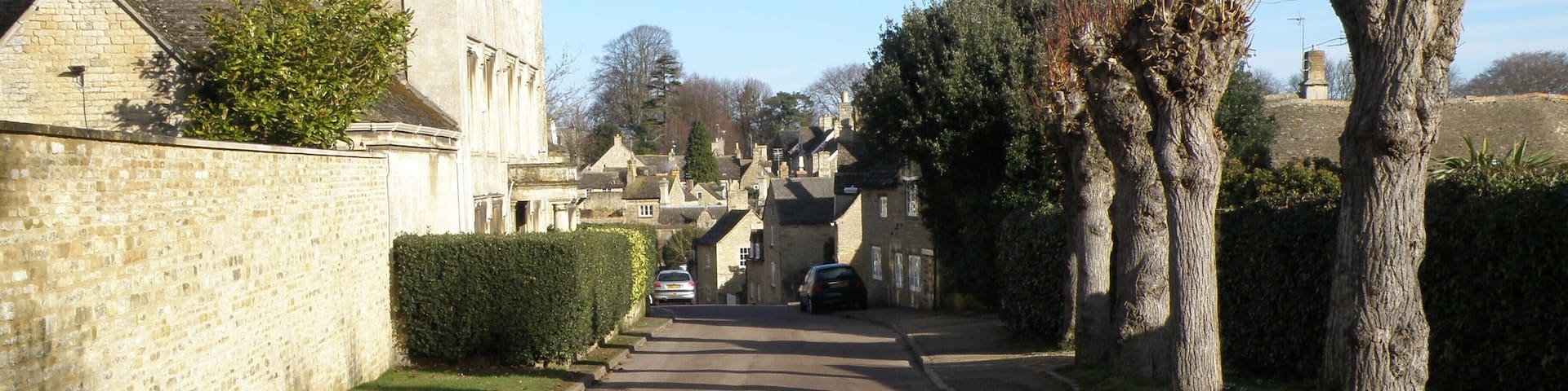 Pollarded trees in Easton on the Hill Believed to be Walnut trees on Church Street