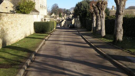 Pollarded trees in Easton on the Hill Believed to be Walnut trees on Church Street