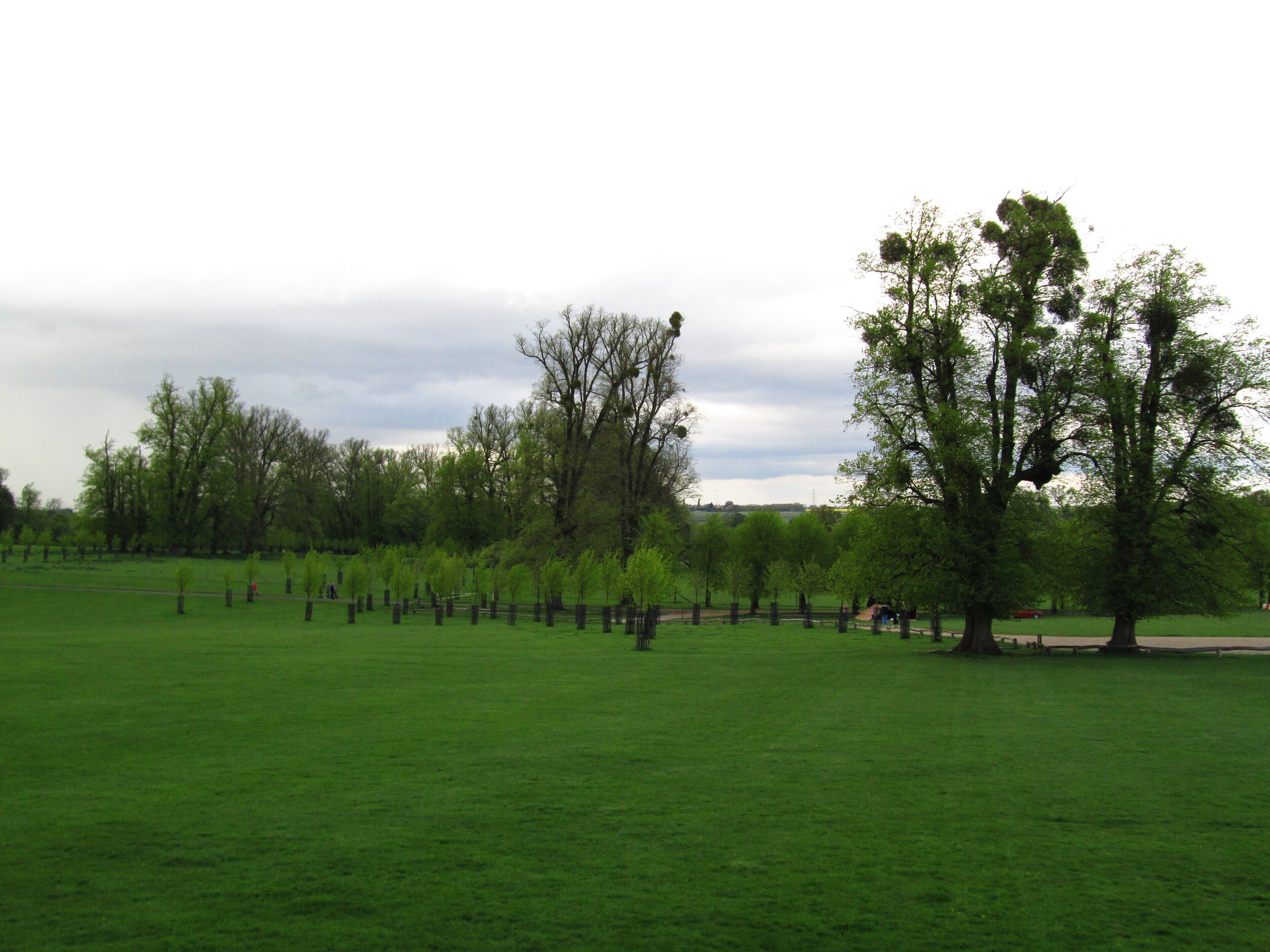 Um parque com grama verde, árvores e céu nublado.