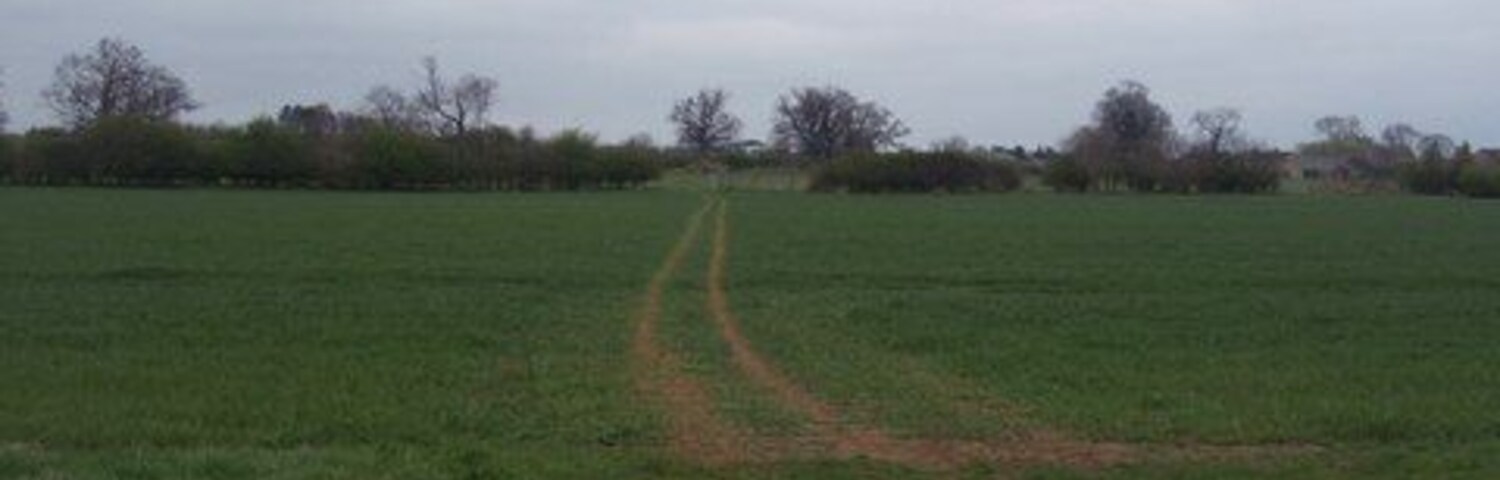 Un campo cubierto de hierba con un sendero de tierra que se adentra en la distancia.