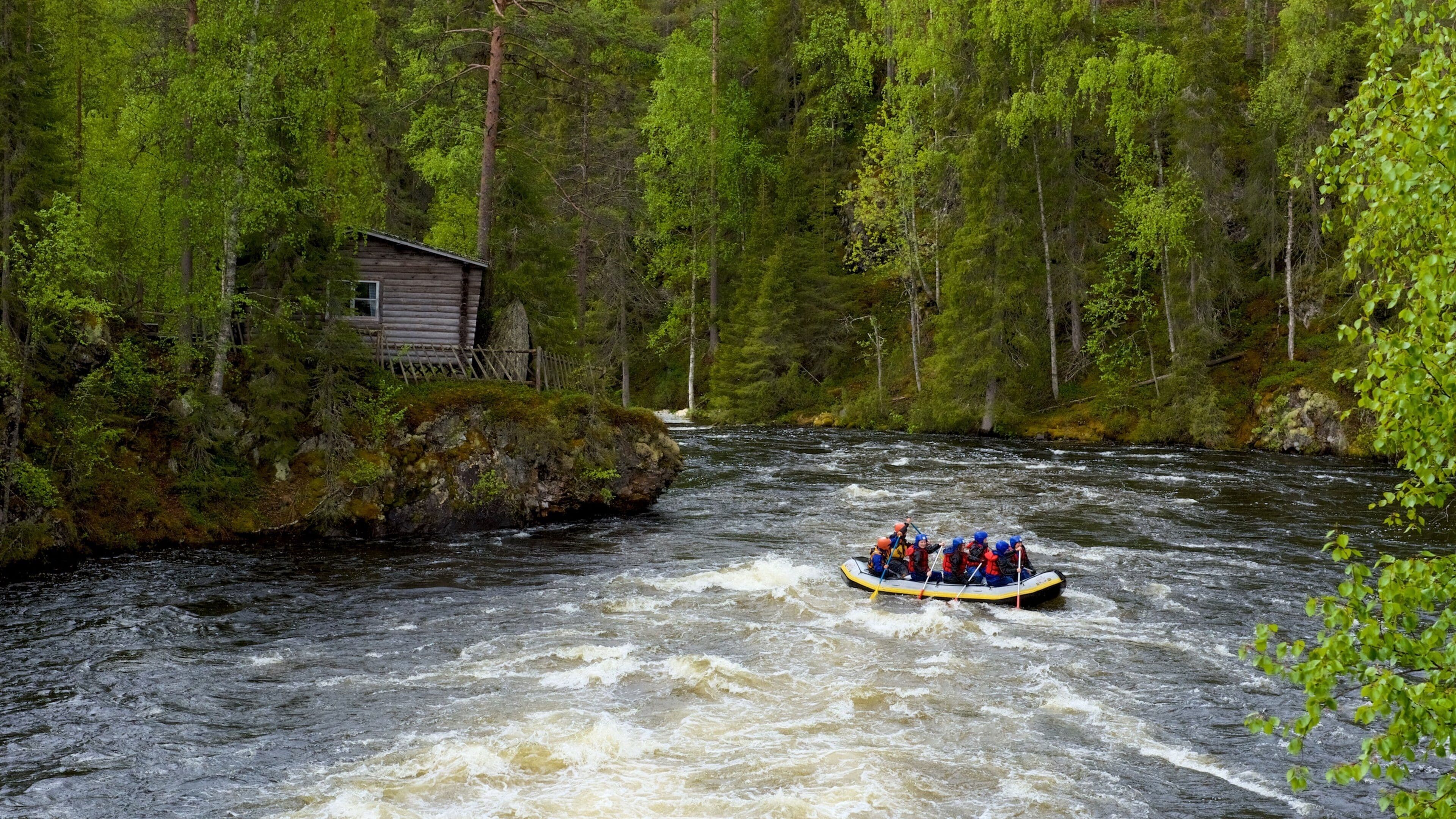 Oulanka mostrando rafting, imágenes de bosques y rápidos