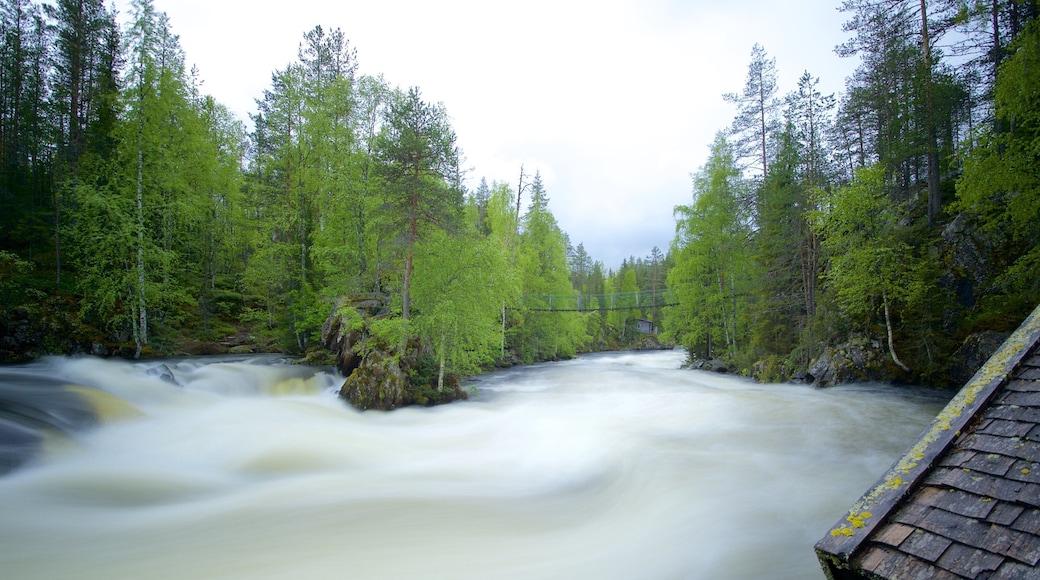 Oulanka som viser fossestryk og regnskog