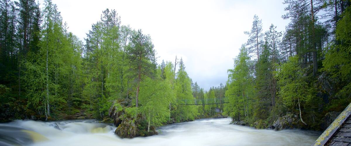 Oulanka which includes rainforest and rapids