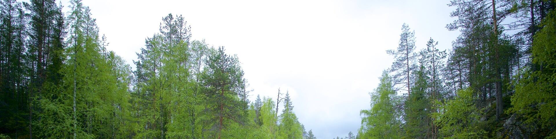 Oulanka which includes rainforest and rapids