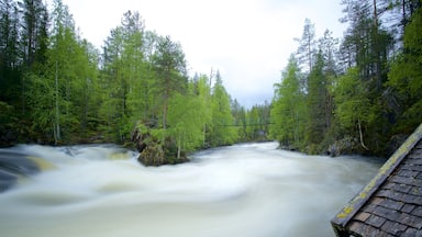 A fast-flowing river surrounded by dense green forest and a wooden bridge.