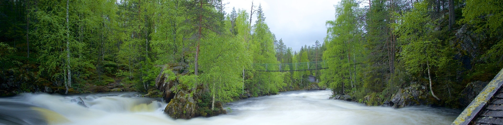 Oulanka ofreciendo bosque tropical y rápidos