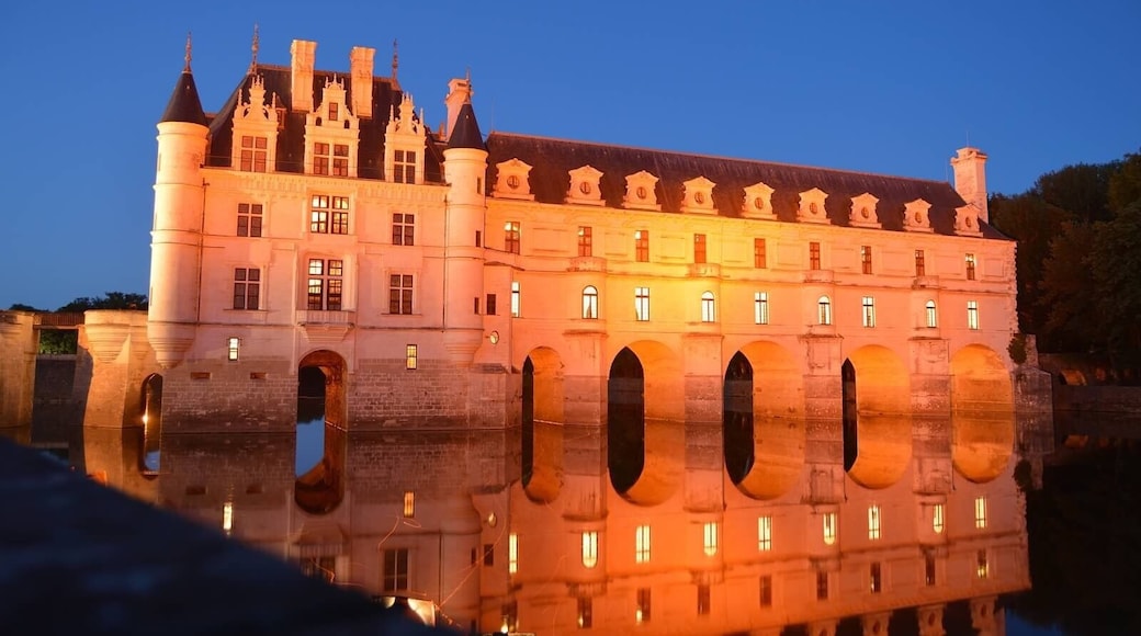 The Night Walk in the gardens of Chateau du Cheneceaux was an amazing experience. Discover the illuminated gardens, accompanied by the music of Arcangelo Corelli, master of Italian classicism.