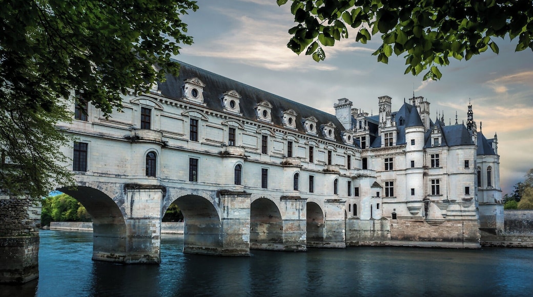 On our trip through the beautiful Loire Valley, we stopped at Château de Chenonceau. The current château was built in 1514–1522 over the river Cher. During WW2, this river formed the demarcation line between Nazi occupied France ( the right side in the photo ) and Vichy France ( the left ). During the war, the Resistance used this chateau to ferry people to freedom.