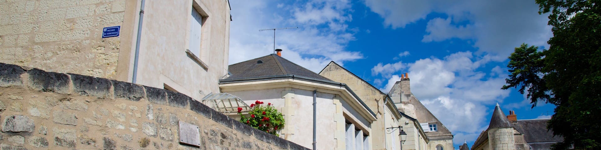 Indre-et-Loire which includes a small town or village