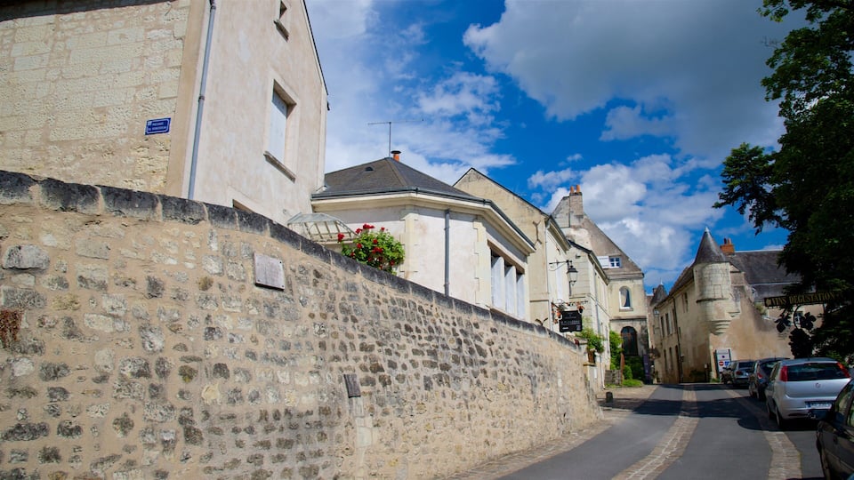 Département Indre-et-Loire