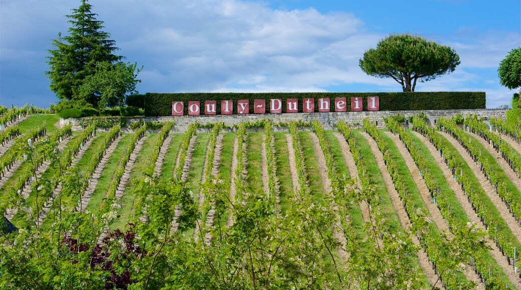 Chinon showing signage and farmland