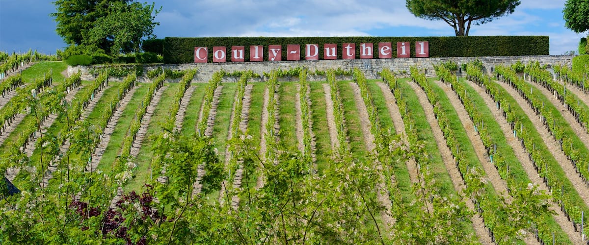 Chinon showing signage and farmland