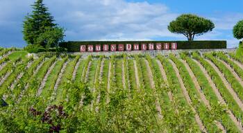 Chinon showing signage and farmland