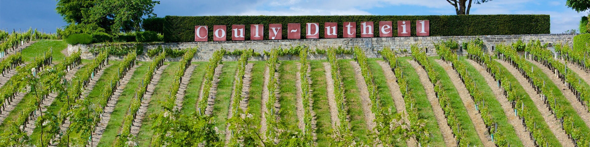 Chinon showing signage and farmland