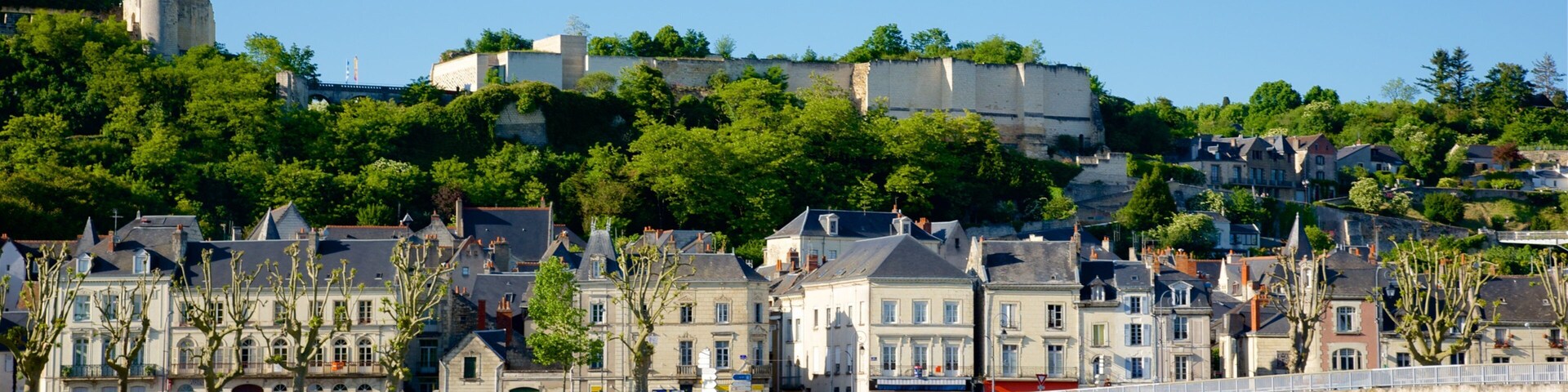 Chinon featuring a bridge, a small town or village and a river or creek