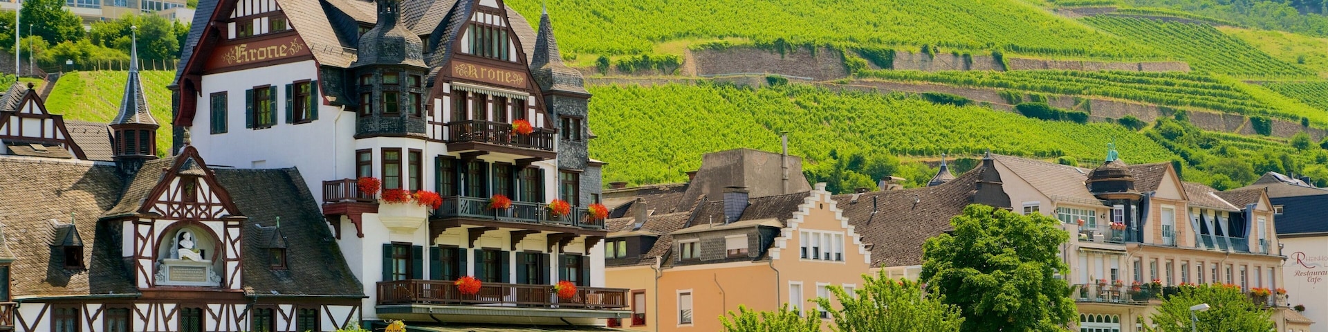 Bingen am Rhein